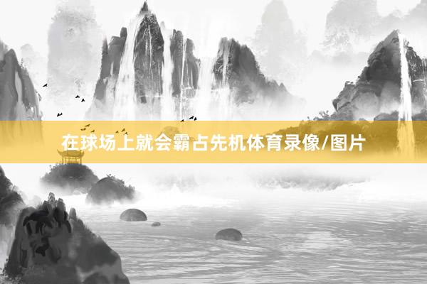 在球场上就会霸占先机体育录像/图片